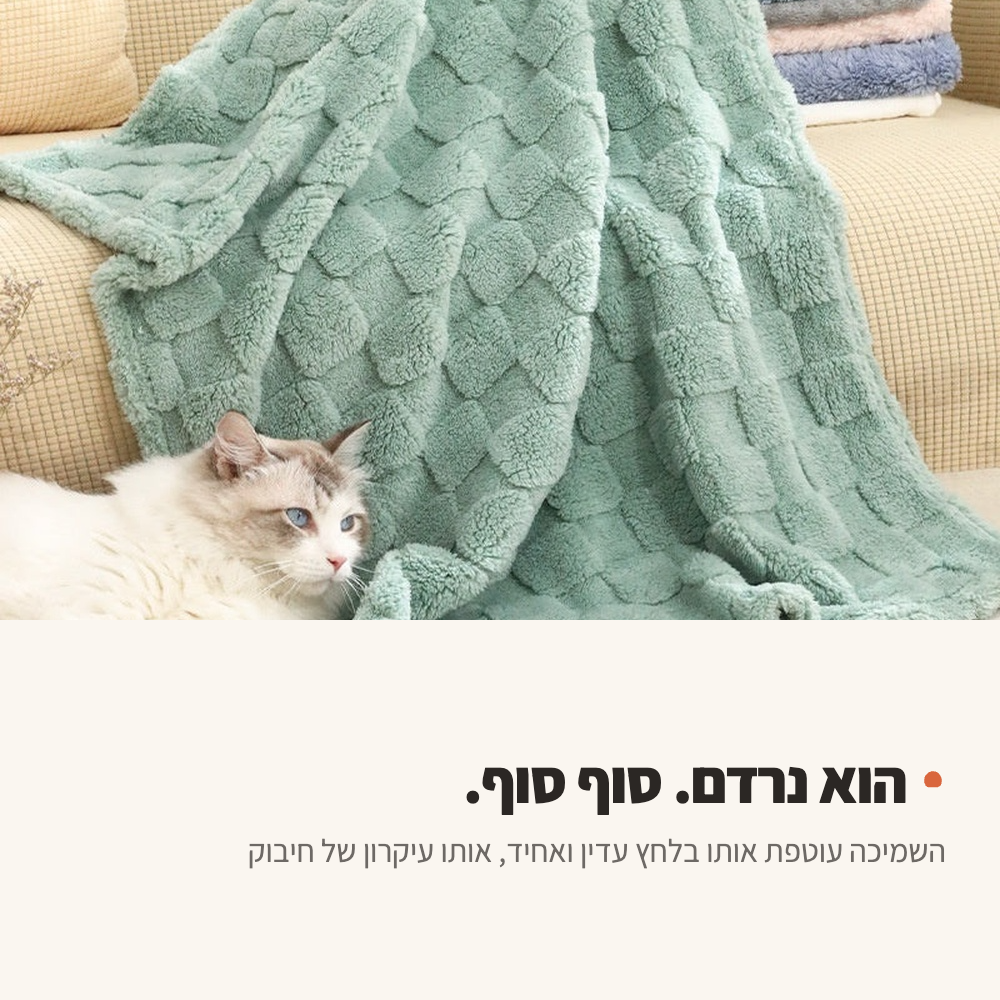 חתול שוכב עטוף בשמיכה רכה על הספה