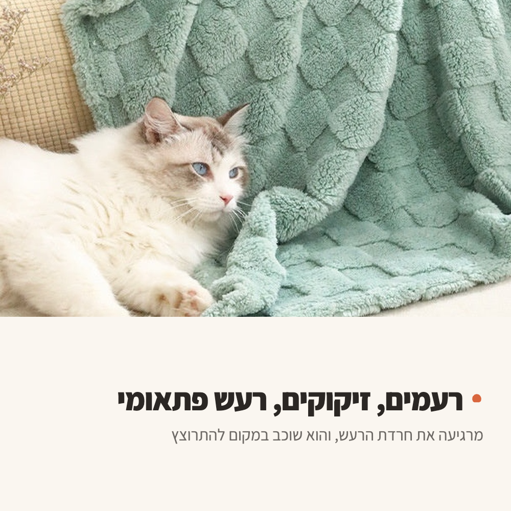 חתול שוכב עטוף בשמיכה רכה על הספה