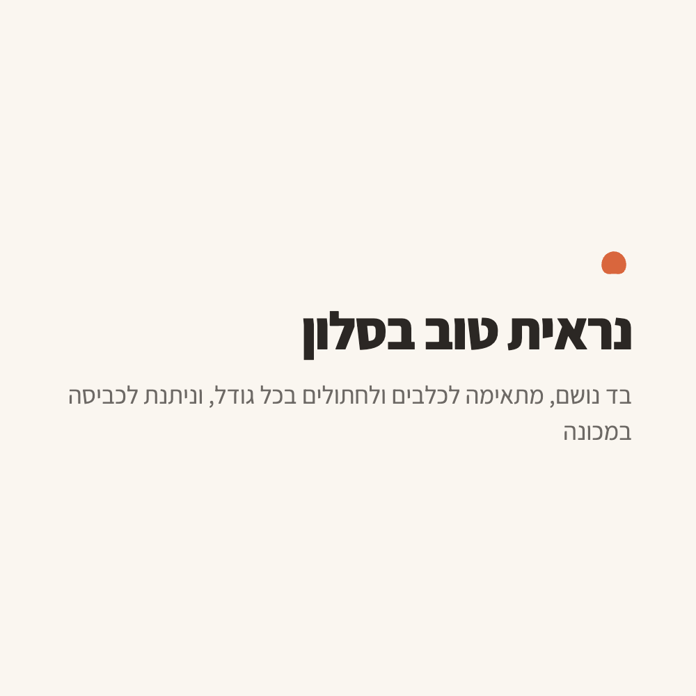 חתול שוכב עטוף בשמיכה רכה על הספה