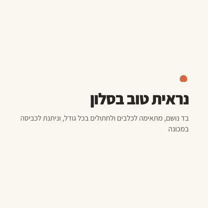 חתול שוכב עטוף בשמיכה רכה על הספה
