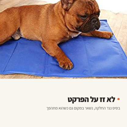 כלב שוכב על מזרן קירור בסלון