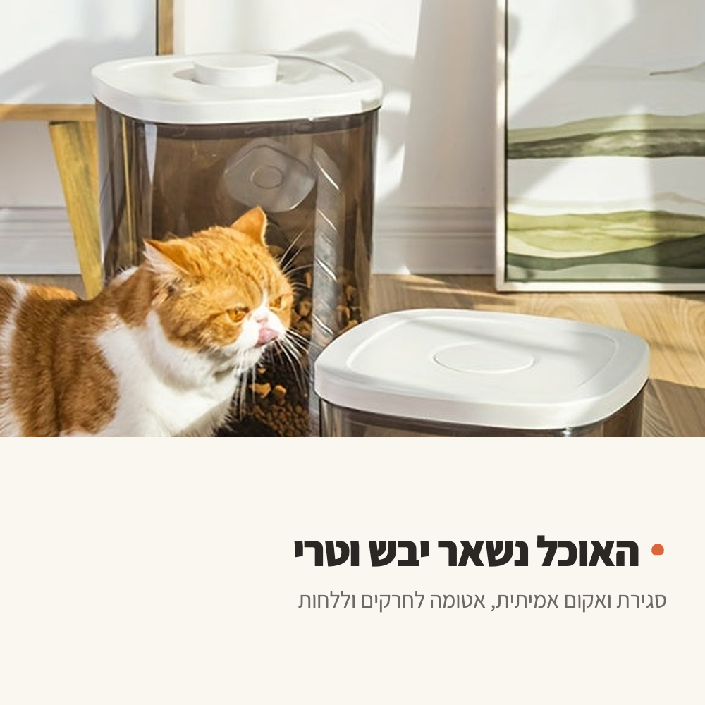 חתול לצד מיכלי אוכל אטומים במטבח