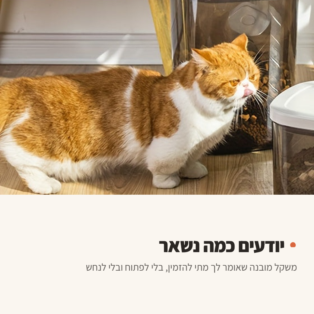 חתול לצד מיכלי אוכל אטומים במטבח